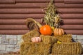 Pumpkins on Hay Bales with Corn Shucks Royalty Free Stock Photo