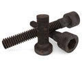 Various sizes of rusty metal screws