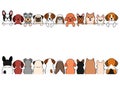 Various Small dogs border set Royalty Free Stock Photo