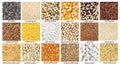 Various small grains with names close up