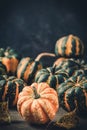 Various small pumpkins with a striped pattern