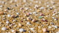 Various small seashells and pebbles scattered on a sandy beach Royalty Free Stock Photo