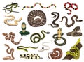 Various Snakes Poses Vector Illustration
