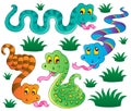 Various snakes theme collection Royalty Free Stock Photo