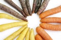 Various sorts of carrots, purple, yellow, white