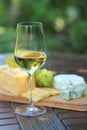 Various sorts of cheese, grapes and white wine Royalty Free Stock Photo