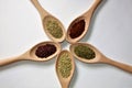 Various spices for cooking in wooden spoons on a white background: basil, thyme, fennel, sumac, chili