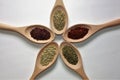 Various spices for cooking in wooden spoons on a white background: basil, thyme, fennel, sumac, chili