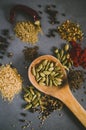 Various spices on grey background. Cooking Royalty Free Stock Photo