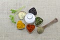 Various spices in heart chaped containers with salt in the middle Royalty Free Stock Photo
