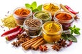 Various Spices and Herbs Over White Curry Saffron Turmeric Cinnamon Royalty Free Stock Photo