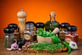 Various spices and herbs Royalty Free Stock Photo