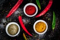 Various spices and seasonings Royalty Free Stock Photo