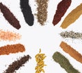 Various spices on white background. Top view with free space, and note. Royalty Free Stock Photo