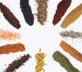 Various spices on white table. Top view with copy space.