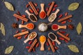 Various spices in wooden spoons on dark stone table. Royalty Free Stock Photo
