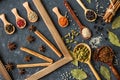 Various spices in wooden spoons on dark stone table Royalty Free Stock Photo