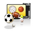 Various sports balls Royalty Free Stock Photo