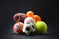 Various sports concept with different balls on black background Royalty Free Stock Photo