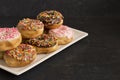 Various Sprinkle Donuts Royalty Free Stock Photo