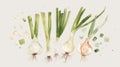 various stages and parts of allium plants, from spring onions to mature garlic bulbs, rendered in a classic style perfect for both
