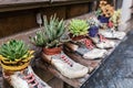 Succulents are planted in pots in the shape of old shoes. Street decorations and gardening concept Royalty Free Stock Photo