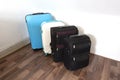 Various suitcases or travel bags in a row near white wall, modern luggage bags for tourism