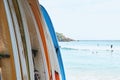 Various Surf Board on Sand Beach Ocean Background Royalty Free Stock Photo