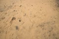 Various textures and imprints in smooth yellow sand.