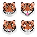 Various tiger heads bundle