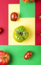 Various tomatoes on the multicolored geometric background