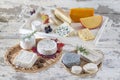 Various tray with different kinds of cheese on rustic grey wooden table background