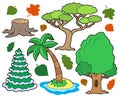 Various trees collection 1 Royalty Free Stock Photo