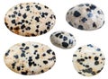 Various tumbled natural mineral Dalmatian Stone