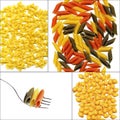 Various type of Italian pasta collage Royalty Free Stock Photo