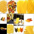 Various type of Italian pasta collage Royalty Free Stock Photo