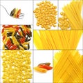 Various type of Italian pasta collage Royalty Free Stock Photo