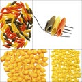 Various type of Italian pasta collage Royalty Free Stock Photo