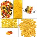 Various type of Italian pasta collage Royalty Free Stock Photo