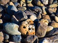 Various types of beach stone