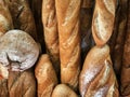 Various types of bread displayed in a bakery on a wooden surface during the morning hours Royalty Free Stock Photo