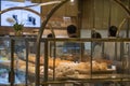 Various types of breads on the rack for sell in the bread shop