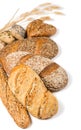 Various types of cereal bread