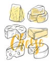 Various types of cheese