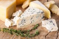 Various types cheese Royalty Free Stock Photo