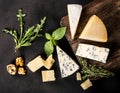 Various types cheese Royalty Free Stock Photo