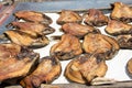 Various types of dried fish sold in the market Royalty Free Stock Photo