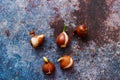 Various types of flower bulbs on a rustic background.