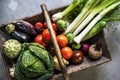 Various types of fresh vegetables Royalty Free Stock Photo