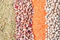 Various types of legumes Royalty Free Stock Photo